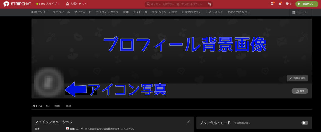 【チャットレディ向け】STRIPCHATで稼ぐサポート機能と心構えについて プロフィール画像にこだわる